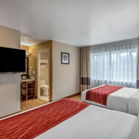 Comfort Inn Mount Shasta Area