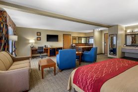 Comfort Inn Near Gila National Forest