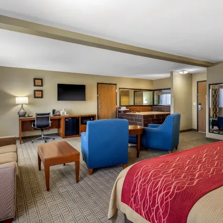 Comfort Inn Near Gila National Forest