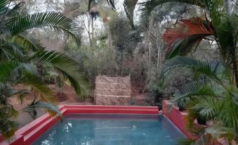 Nature's Nest Eco Resort Goa, Near Dudhsagar Waterfalls