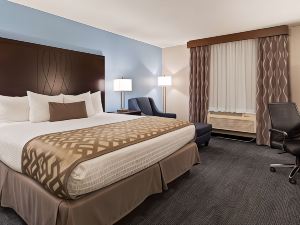 Best Western Plus Flint Airport Inn  Suites