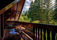 Vila Zorile Hotels in Poiana Brașov