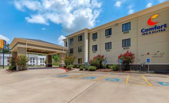 Comfort Inn & Suites El Dorado