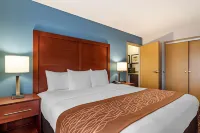 Comfort Inn & Suites Lees Summit - Kansas City Hotel di Lee's Summit