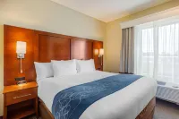 Comfort Suites Burlington Near I-5 Hotels in Mount Vernon