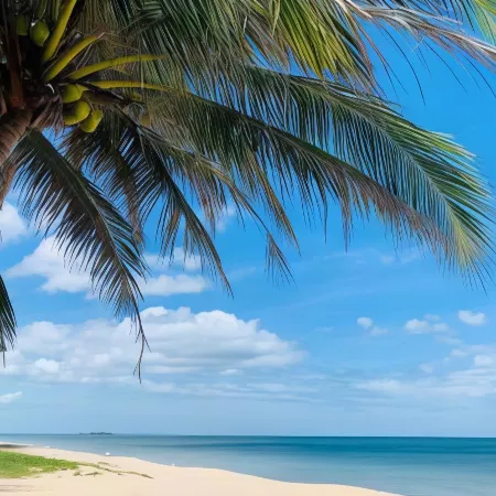 Bayview Beach Resort