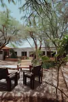 Vientos - la Yareta