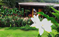 Hideaway Rio Celeste Hotel