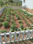 Zeus kır Evi Hotels in 