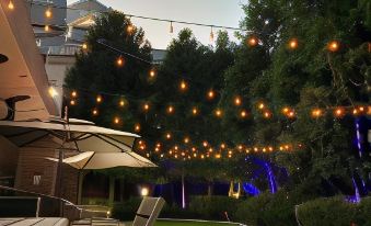 Ibis Mexico Alameda