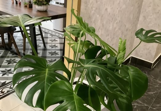 민 차우 호텔 로비