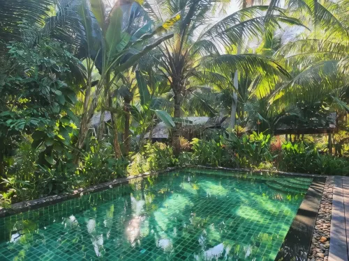 Mekong Home - Yüzme Havuzu