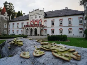 Chateau Herálec Boutique Hotel & Spa by l'Occitane