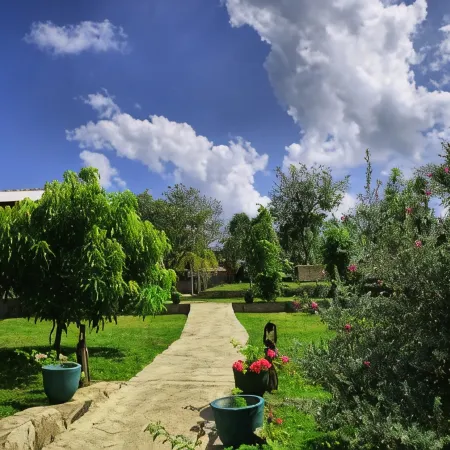 Jungle Paradise