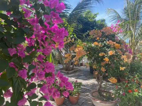 Windy Hills Hotel Отели рядом с достопримечательностью «Муи Не рыбная деревня»