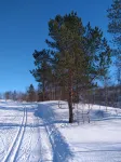 Polyarniy Krug Mini-Hotel