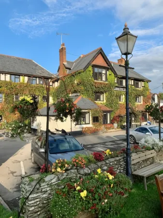 Exmoor White Horse Inn Отели в г. Туитчен