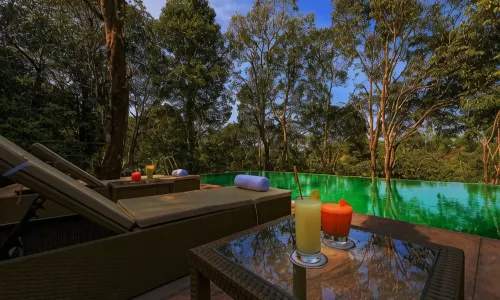 Wayanad Wild - A CGH Earth Experience