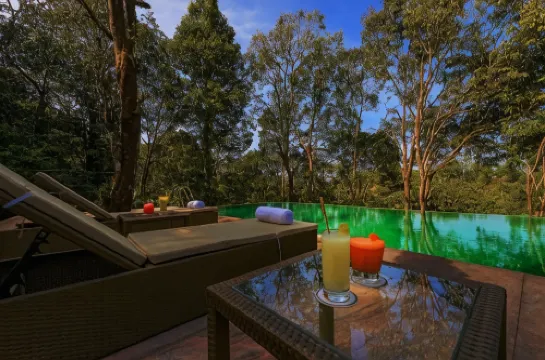 瓦亞納德野外雨林旅館-CGH地球酒店 瓦亞納德酒店