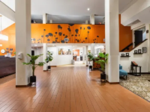 Sleep Inn Ormond Beach - Daytona Hotels in Ormond Beach