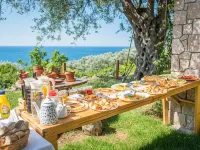 Holiday Park Olive Tree Hotels in Ulcinj