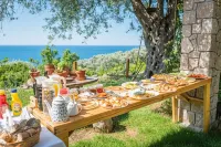 Holiday Park Olive Tree Hotels in Ulcinj