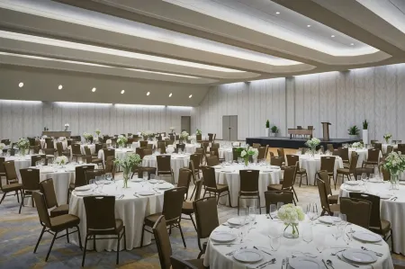 Viewline Resort Snowmass, Autograph Collection