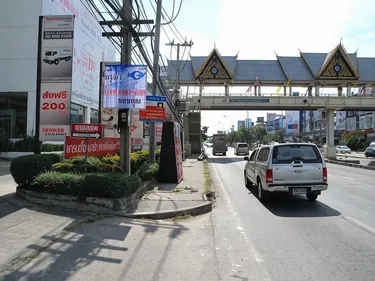 รูปภาพของสกุลเพลส