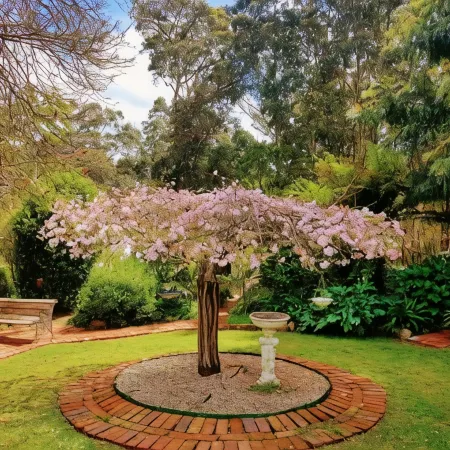 Adamsons Riverside Accommodation