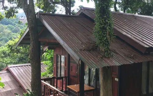 Phi Phi Green Hill Resort