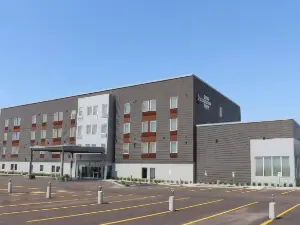 ベストウェスタン プラス ダーフィン