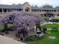 Vineyard Court Designer Suites Hotel
