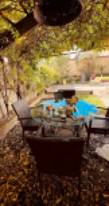 O Secret Garden ... ;-) Just outside Strasbourg