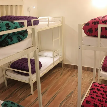 Gostops Lite Jaipur