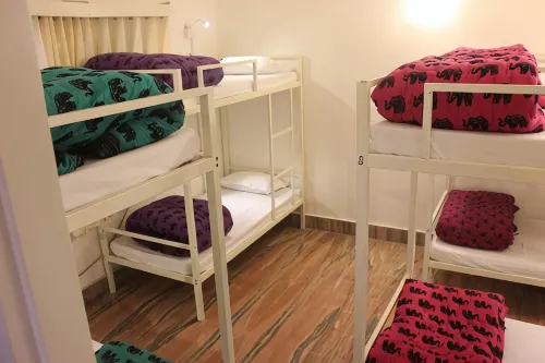 Gostops Lite Jaipur