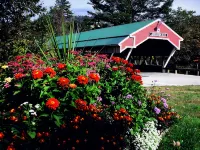 Covered Bridge Riverview Lodge Hotels in Jackson