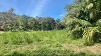 Vida House Krabi, Ao Nang Beach - Homestays