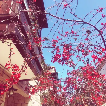 Alayaz Hotel
