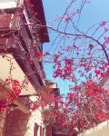 Alayaz Hotel