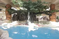 Narada Resort & Spa Wugongshan - Pools
