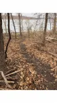 Tiny house in the woods. Pet-Friendly! - 3-Star