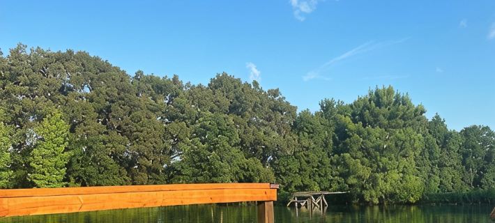 The Hidden Maple - 10 minutes to MSU - Pet & Kid Friendly - Secluded with Pond! カロウェイのホテル