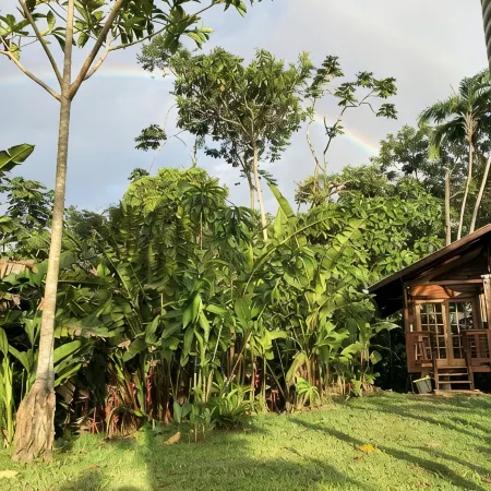 Tranquil Waterfall Studio, Oceanfront with Jungle Hiking and Starlink