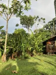 Tranquil Waterfall Studio, Oceanfront with Jungle Hiking and Starlink - 3-Star