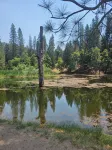 Serendipity Lodge @ Yosemite - BBQ/ Kitchen/ Wi-Fi/ King Bed/ Sleeps 8 - 3 tähden
