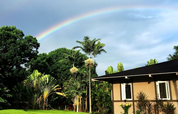 Special quiet, romantic, cozy home in a special place, Heavenly Hana. Lucky you!