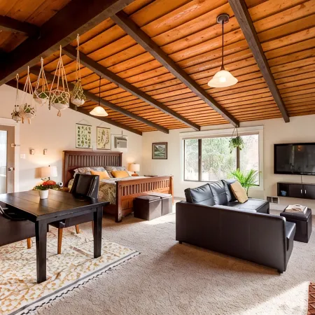 Cozy Up at a Nature Inspired Boutique Studio in the Trees - River Nearby