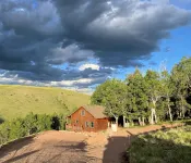 Mountain Meadow Cabin in Cotopaxi on 40 acres - 3-Star