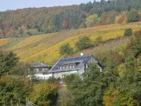 Pension Kühns Mühle - Pensions
