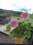 Villa des Hortensias - Parking